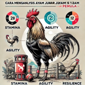 Cara Menganalisis Ayam Juara di Sabung Ayam S128 untuk Pemula